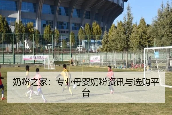 奶粉之家：专业母婴奶粉资讯与选购平台