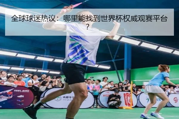 全球球迷热议：哪里能找到世界杯权威观赛平台？